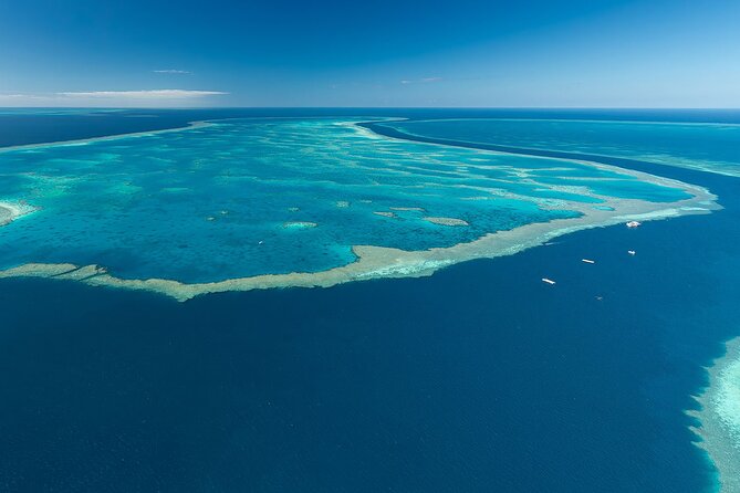 Heart Reef & Whitehaven Rest and Relax - 2.5Hr Helicopter Tour - Reviews and Pricing Details