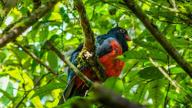 Hiking Lovers (Hanging Bridges La Fortuna Waterfall Volcano Hike) - Final Words