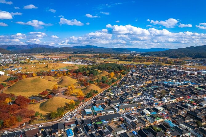 Historic and Natural Beauty- Gyeongju Autumn Foliage Day Tour - What to Expect on the Tour