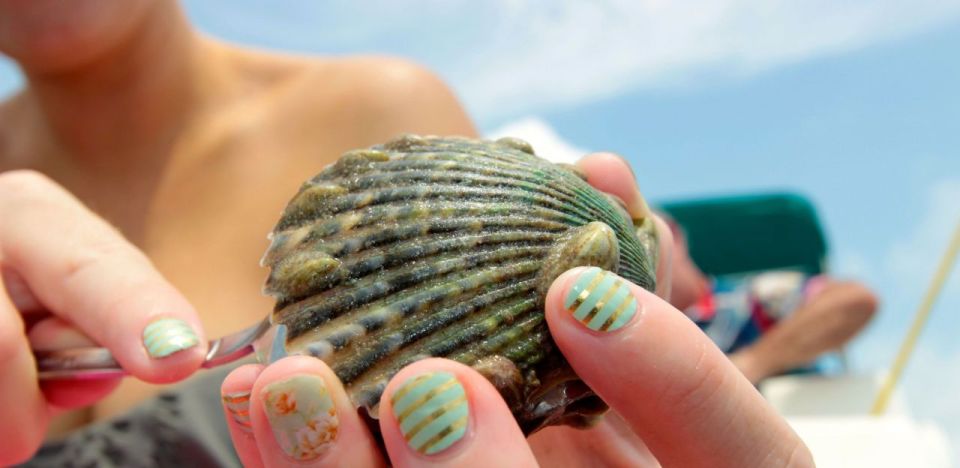 Homosassa: Snorkel & Scallop Hunt in Gulf of Mexico - Booking Details