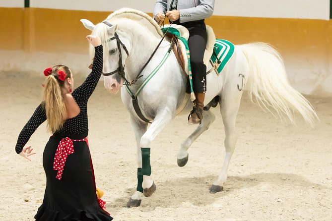 Horse and Flamenco Show in Malaga - Cancellation Policy