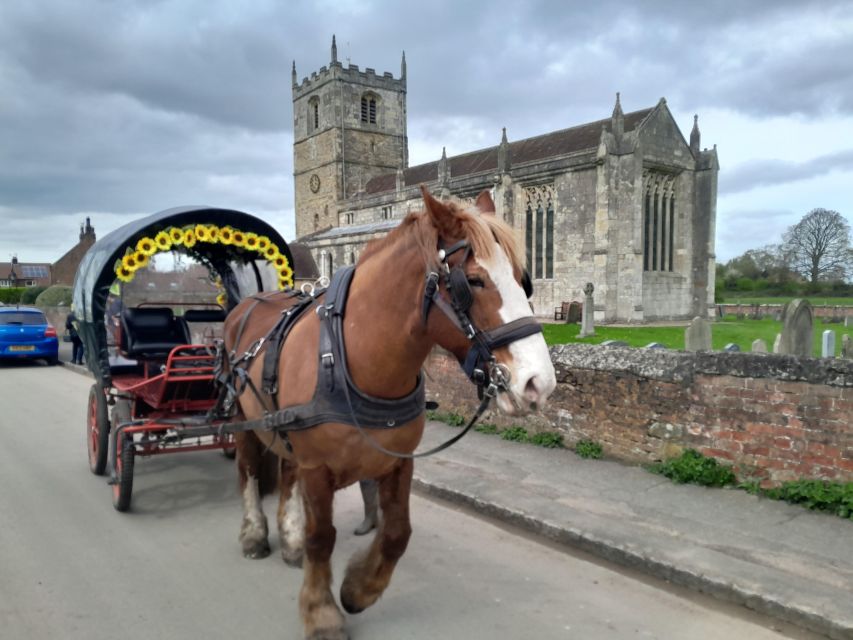 Horse Drawn Carriage Ride and Picnic Hamper - Cancellation Policy