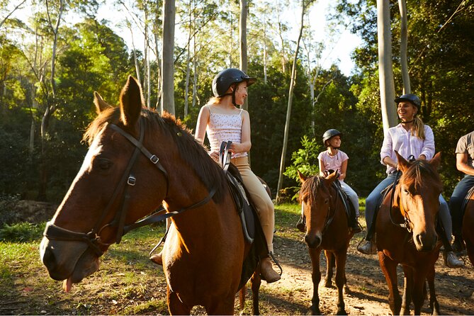 Horse Riding, Koalas & Kangaroos - Wild Australia: Private Tour - Customising Your Dream Tour