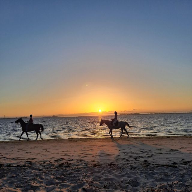 Horseback Marriage Proposal on the Beach - Sunset and Romantic Setting