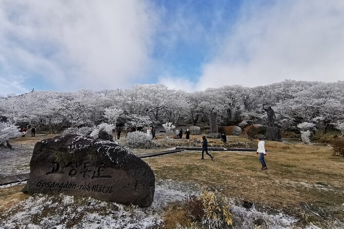 Jeju Island Private Tour - UNESCO Day Tour & Haenyeo Performance - Company Information and Contact