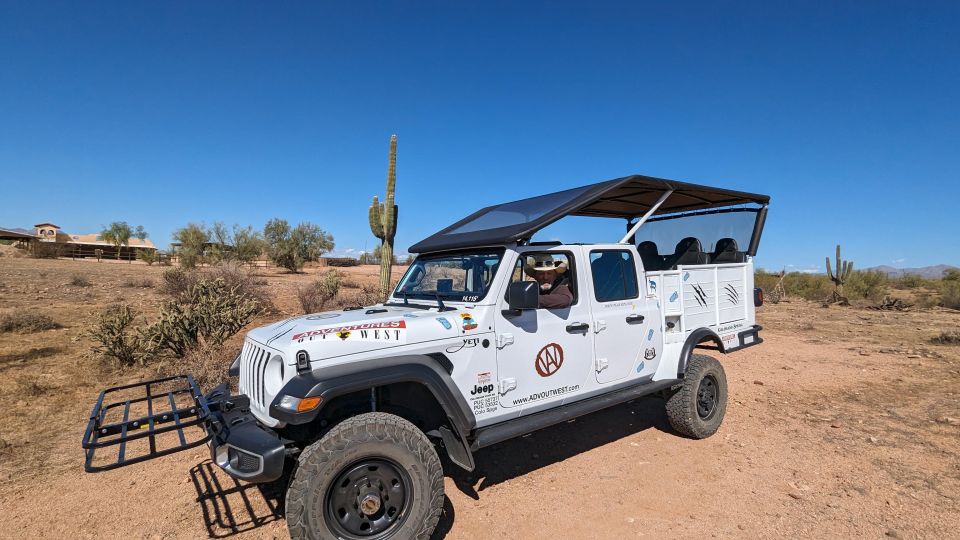 Jumping Cholla (Choya) Jeep Tour - Price