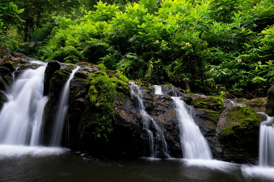 Kahului: Guided Rainforest and Waterfall Walk - Important Details