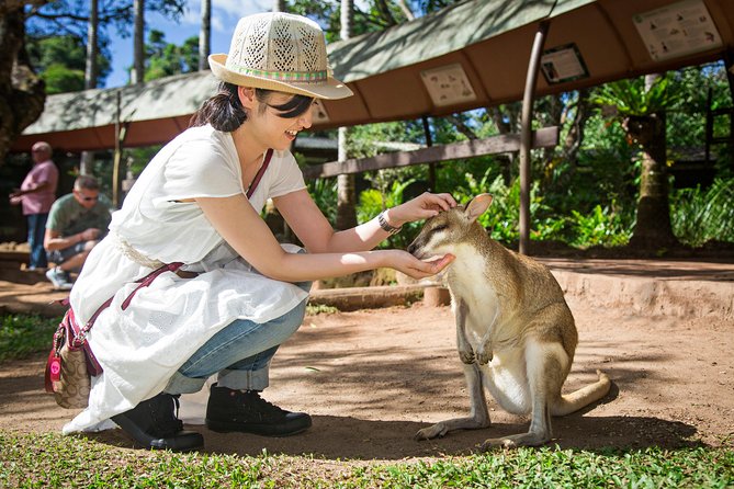 Kuranda Day Tour, TKS-RFS CLASSIC GOLD PLUS 0930 - Train and Skyrail Experience