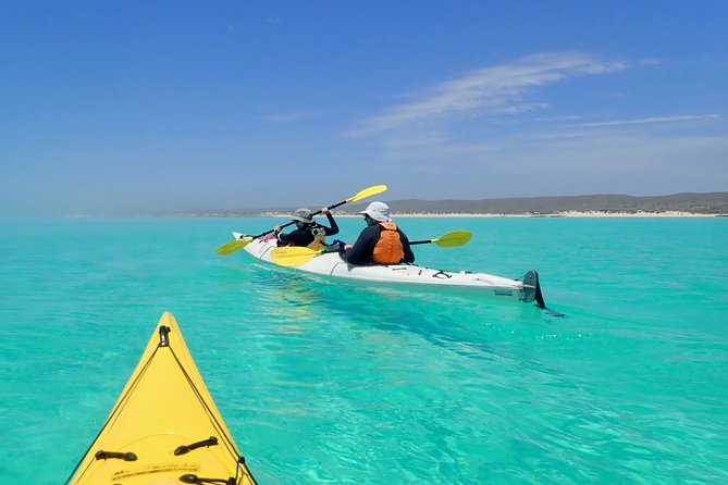 Lagoon Explorer - Ningaloo Reef Full-Day Kayaking and Snorkeling Adventure - Important Tour Information