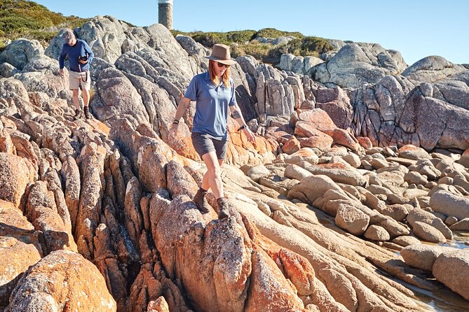 Larapuna / Bay of Fires Hiking Tour - 4 Days - Booking and Cancellation