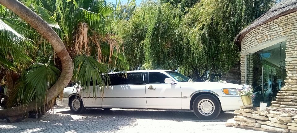 Limousine Rental - Pricing and Inclusions