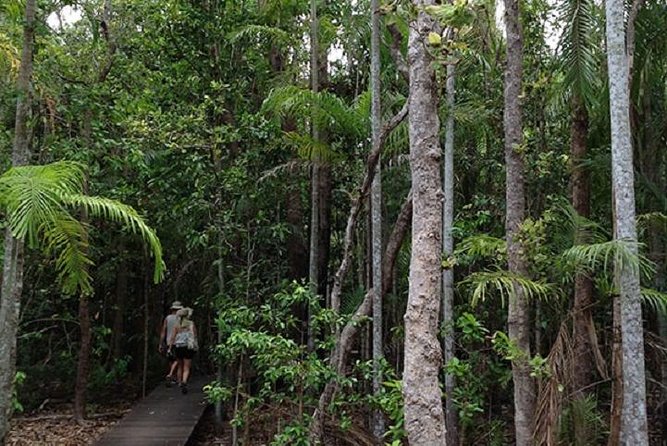 Litchfield National Park and Jumping Crocodile Cruise - Reviews and Ratings Overview