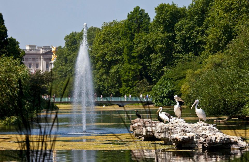 London: Royal Walking Tour With Palace or Mews Options - Important Information