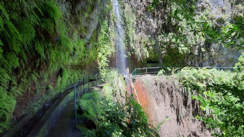 Madeira: Private Guided Levada Do Rei Walk PR18 - Common questions