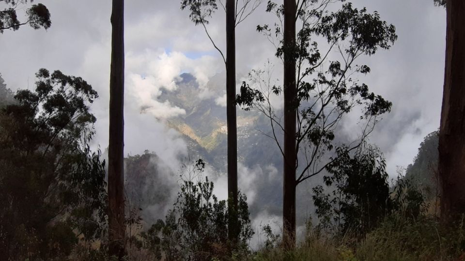 Madeira: Private Half-Day Jardim Da Serra Tour - Booking Information