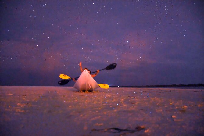 Magic Night of Stargazing and Bioluminescence - Making the Most of Your Experience