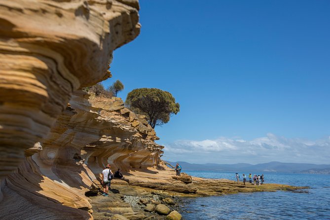 Maria Island Active Day Tour From Hobart - Exploring Maria Island National Park