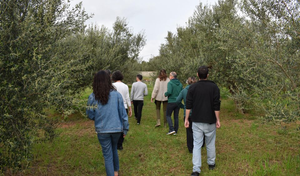 Messenia: Olive Oil Experience 2 -Tour and Food Pairing - Food Pairings and Wine