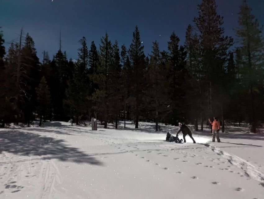 Moonlight Snowshoe Tour Under a Starry Sky - Directions for Participation