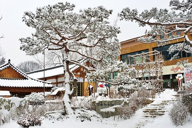 Nami Island and Ski Tour (Elysian Ski Resort) From Seoul - No Shopping - Important Health and Safety