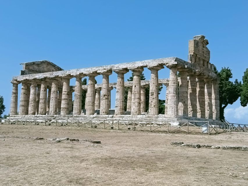 Naples: Go to Paestum by Car and Visit the Temples - Important Information