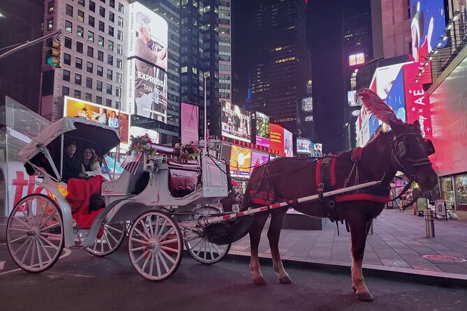 New York City Christmas Lights Private Horse Carriage Ride - Highlights