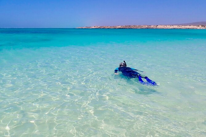 Ningaloo in a Day - Full Day Hike and Snorkel Tour With Lunch - Cancellation and Refund Policy