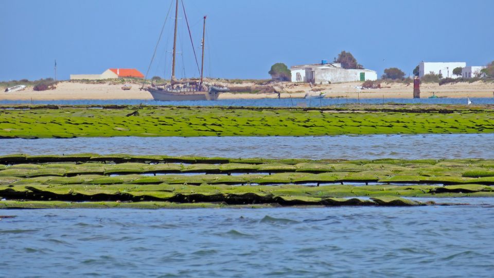 Olhão: Private Boat Tour to Ria Formosa - Important Information