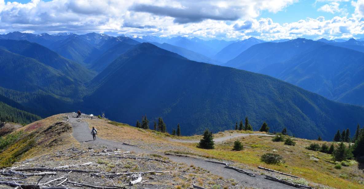 Olympic National Park: Sol Duc and Hurricane Ridge Tour - Customer Reviews