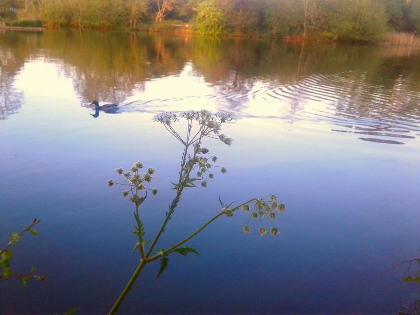 Oxford: River Cruise and Walking Tour to Iffley Village - Additional Insights