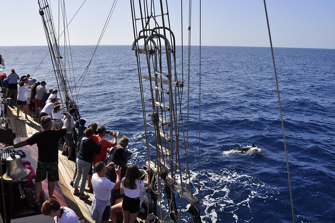 Pirate Adventure Boat Tour With Lunch in Fuerteventura - Snorkeling Experience