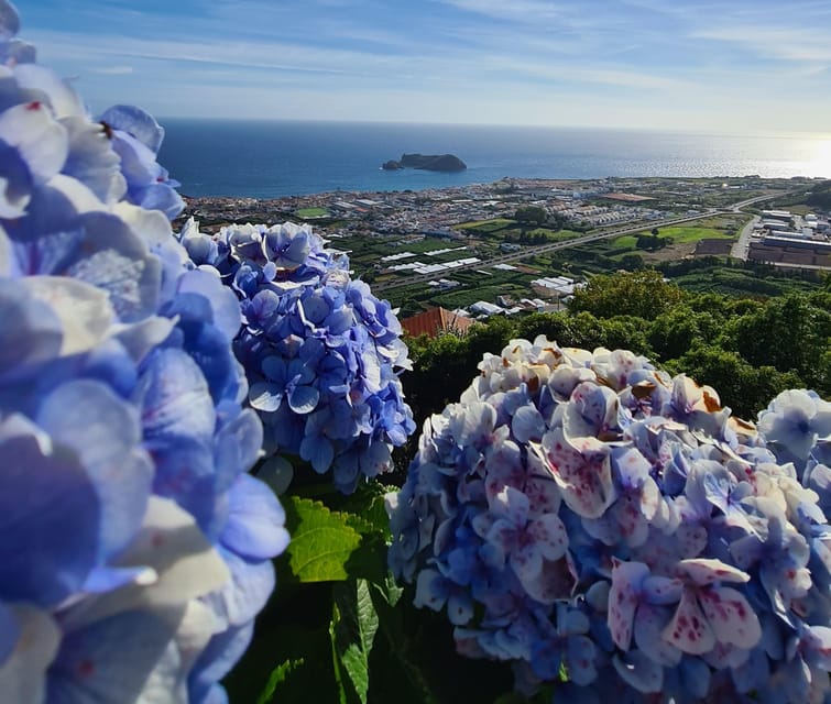 Ponta Delgada: Beauties of São Miguel Island Private Tour - Common questions