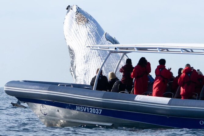 Premier Whale Watching Byron Bay - Cancellation and Refund Policy