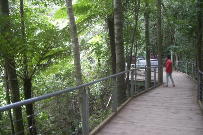 PRIVATE All Blue Mountains Tour, Wildlife Park and River Cruise - Booking and Cancellation Policies