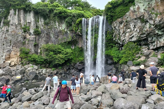 Private Half Day South and West Tour in Jeju Island - Reviews From Past Travelers