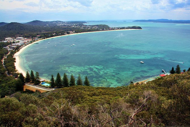 Private Port Stephens Day Trip From Sydney Incl Dolphin Cruise - Essential Tour Information