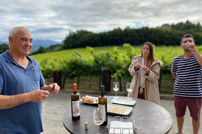 Private Tour at a Family Winery and Basque Coast Route - Pricing and Customer Reviews