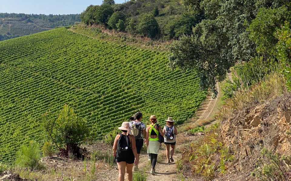 Quinta Do Portal: Walking With Full Lunch and Wine Tasting - Inclusions