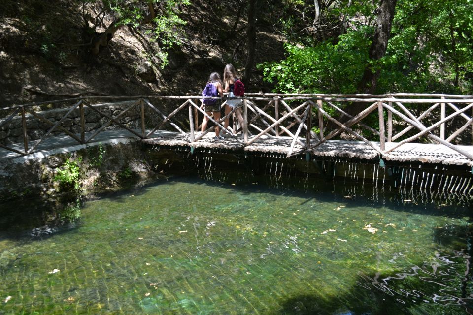 Rhodes: Filerimos, Butterfly Valley & Ancient Kamiros Tour - Booking Information