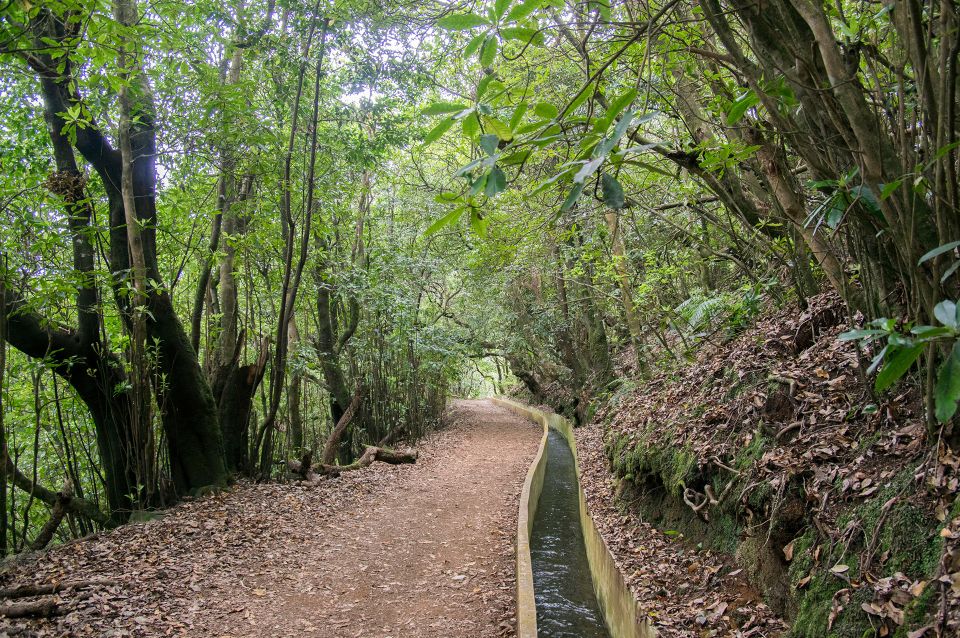 Ribeiro Frio / Portela - Levada Walk - Pickup and Transportation