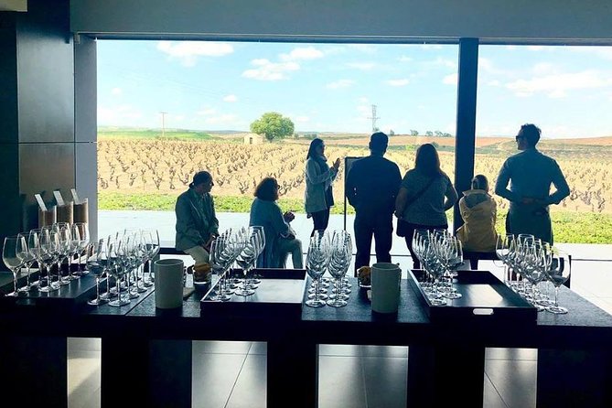 Ribera Del Duero Winery Guided Tour and Wine Tasting From Madrid - Important Information