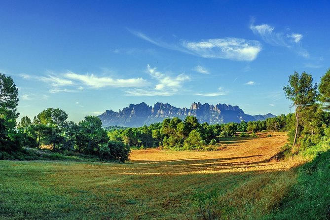 Sagrada Familia & Montserrat Small Group Tour With Hotel Pick-Up - Meeting Point