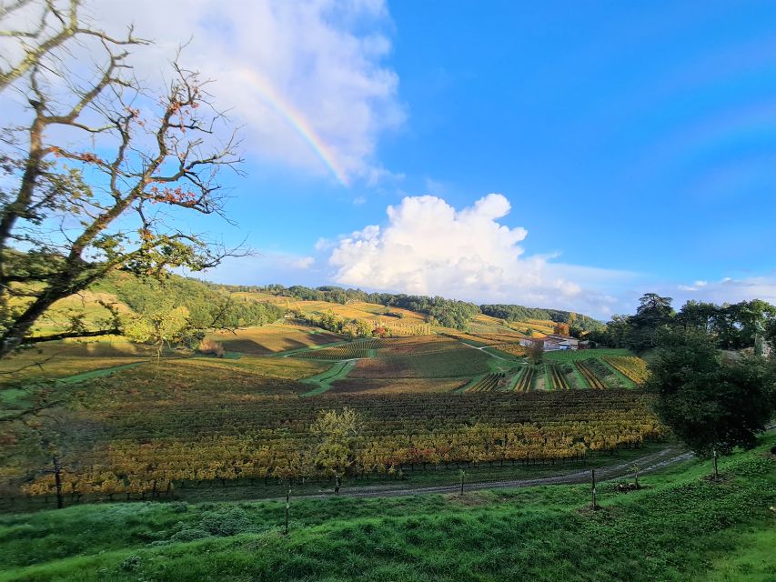 Saint-Emilion Morning Wine Tour - Winery & Tastings - Final Words