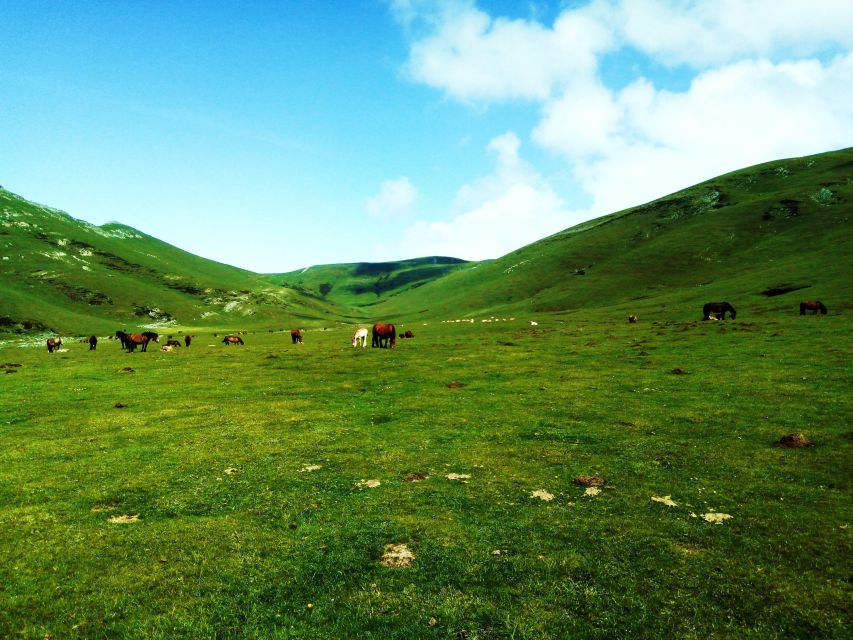 San Sebastián: Hike the Heart of the Basque Country - Inclusions in the Hiking Package