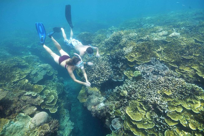 Scenic Helicopter Flight to Moore Reef and Return Snorkeling Cruise From Cairns - What to Expect Onboard