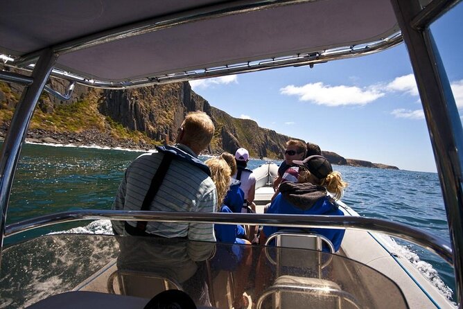 Seal Island Boat Tour From Victor Harbor - Reviews and Ratings Overview