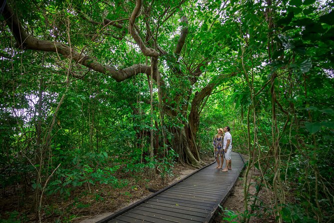 Seawalker Helmet Experience and Green Island Combo From Cairns - Essential Pre-Trip Information