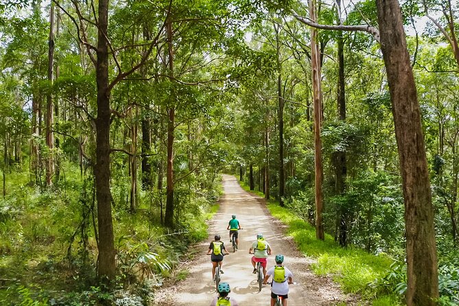 Self Guided E Bike Tour - Unicorn Falls, Rainforest & Rail Trail - Essential Safety Information