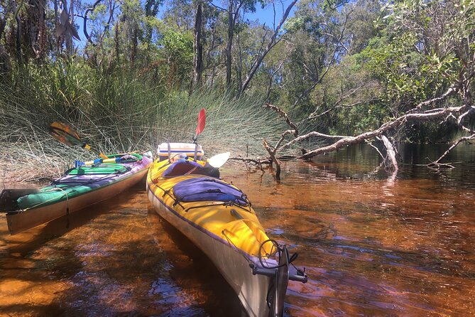 Self-Guided Noosa Everglades Kayak Tour - Preparing for the Paddle