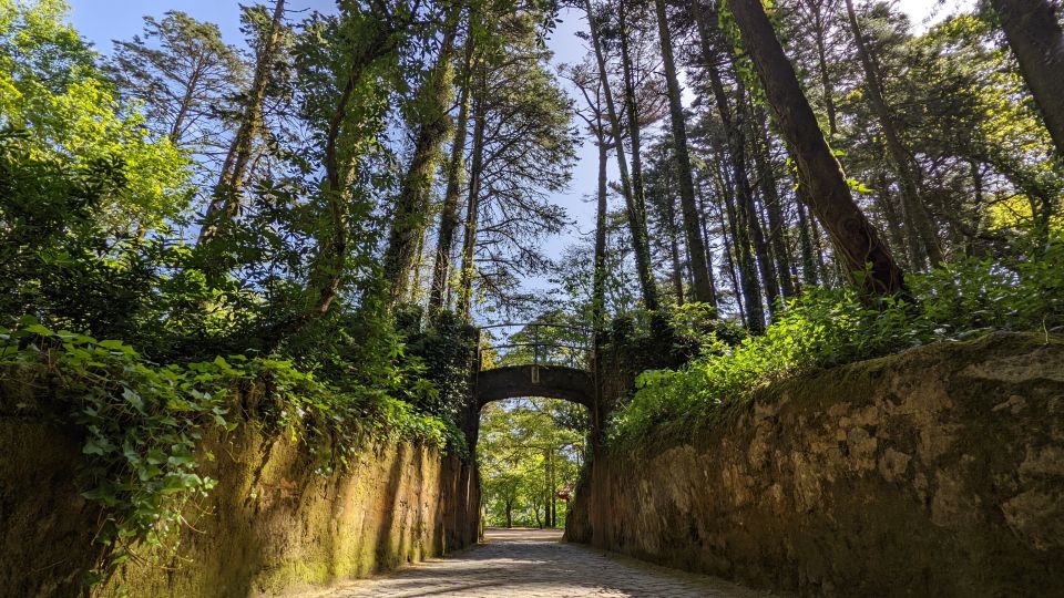 Sintra Small Group Tour From Lisbon With Pena Palace Ticket - Important Information